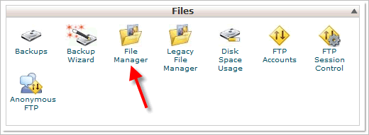 File Manager