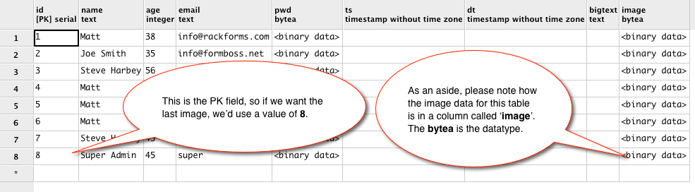 Example Table 1