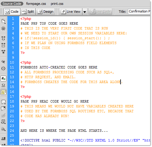 Page Head Code Areas