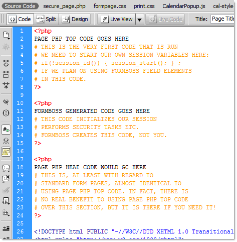 PHP Head Code Areas